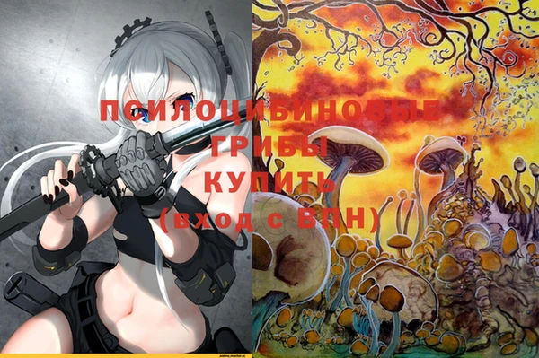 прущие крисы Белокуриха