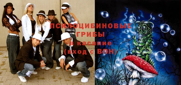 прущие крисы Белокуриха