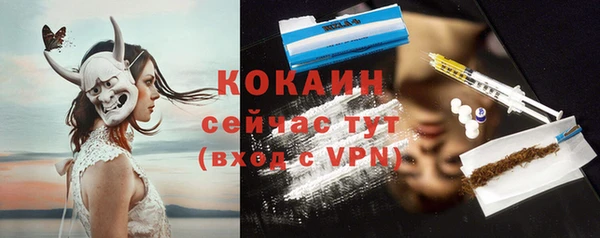 прущие крисы Белокуриха