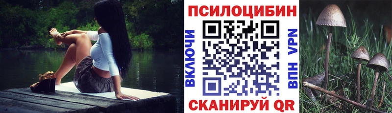 Псилоцибиновые грибы ЛСД  Торжок 